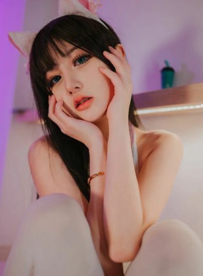 碰碰狐和多奇第一季