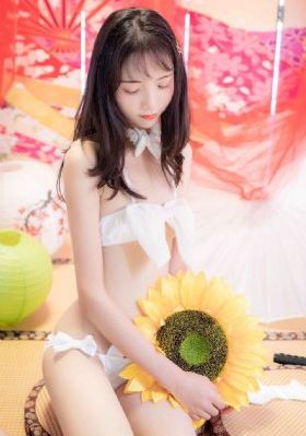 情陷网剧全集免费观看